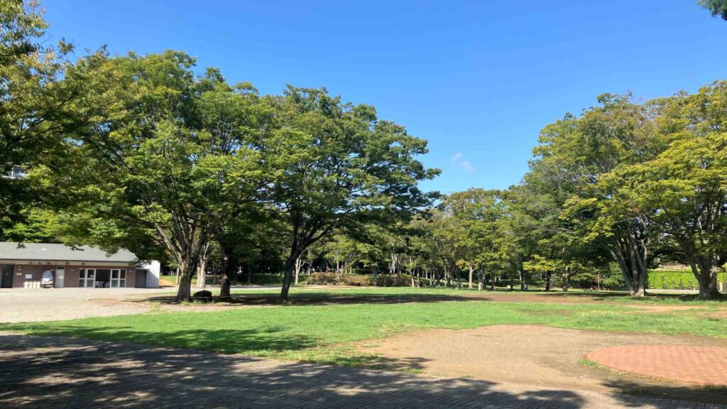 今宿 周辺14 第一カッターきいろ公園（中央公園）