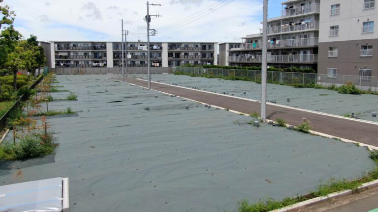 原宿Ⅲ 20250718 22