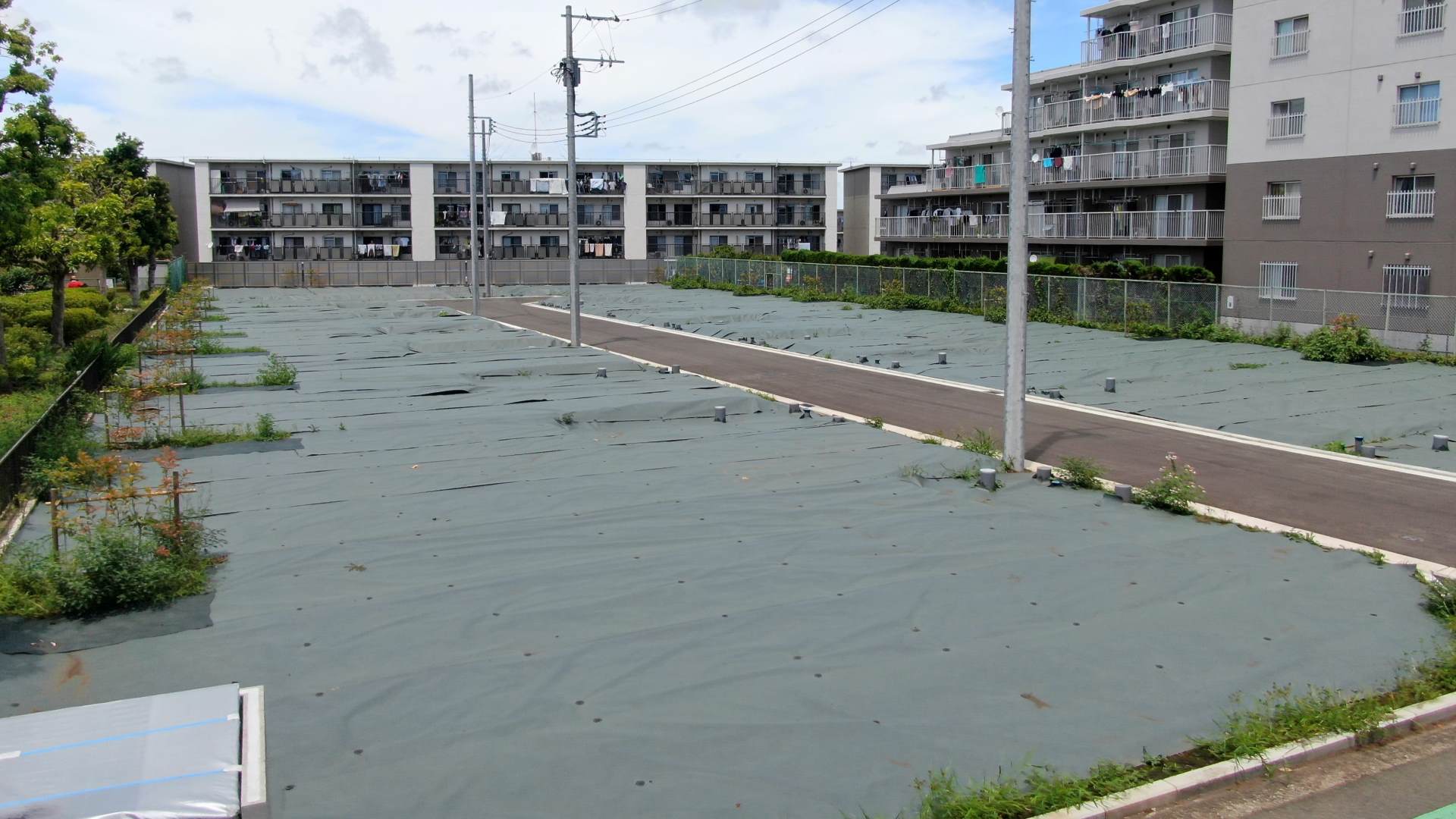 原宿Ⅲ 20250718 22