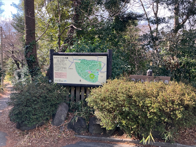 ウィトリッヒの森