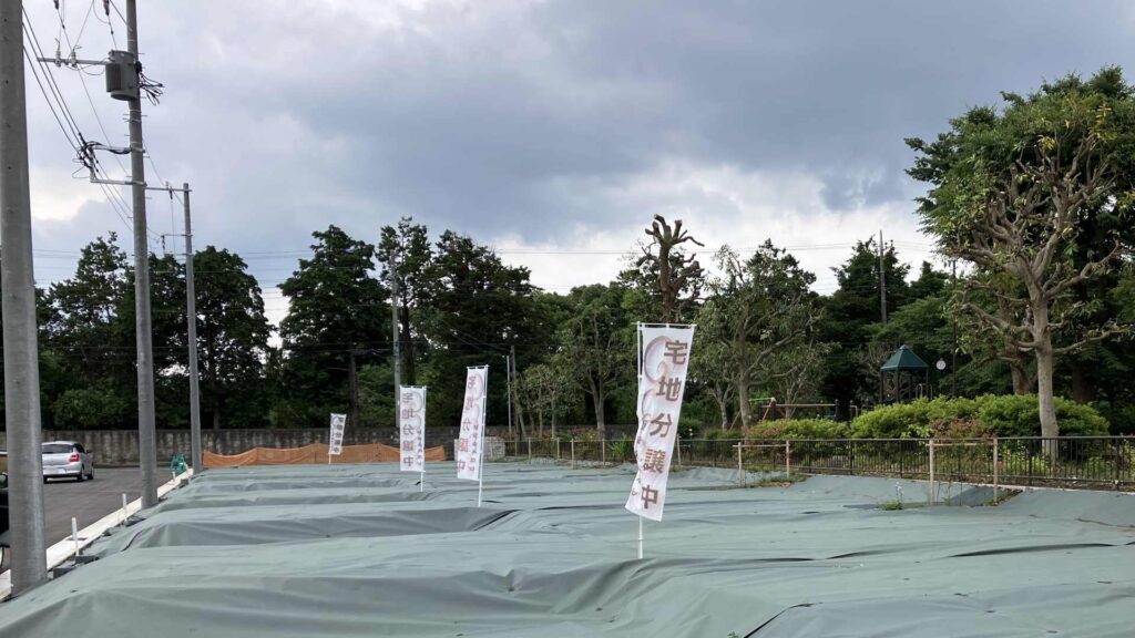 原宿Ⅲﾃｰﾙ 20250614a