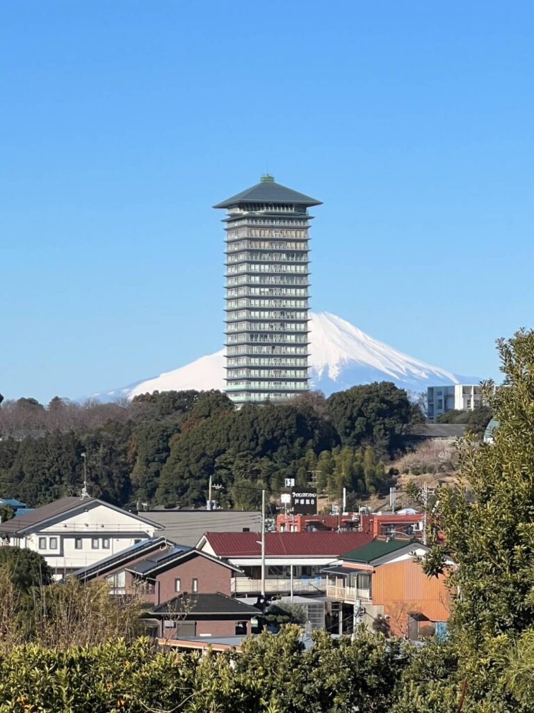 横浜薬科大学図書館棟13